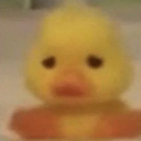 SadDucky