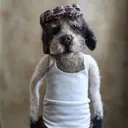 reffffik