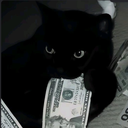 Profilbild för Lallish
