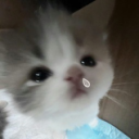 あき