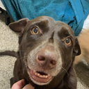 Layla's profile picture