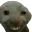 FattyFoo