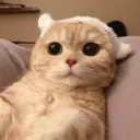 stevehuy_