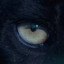 antlmony profile photo