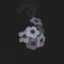 fowardsight