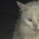 fumairl