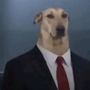 Discord Avatar