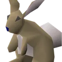cugino