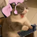 merody