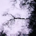 aeasala