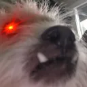 marx0r