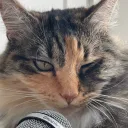 luiqi