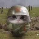 ravieraa