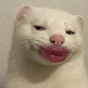 jmttoria member profile picture