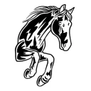 blackpony
