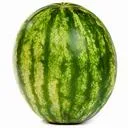 tallmeloniscool