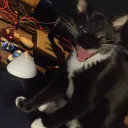 thricethethird