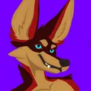 eshki.coyote