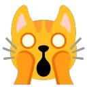 eshki.coyote