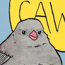gaistheidegger avatar