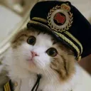 captain_kitty