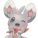 chinbilla