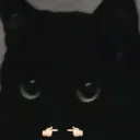 ravenanarchy