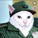 avatar Fidel Catto