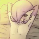 sheepycbt