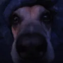 benny.dryl
