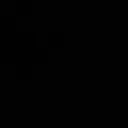 skalapendra0032