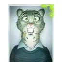 corporatebigcat