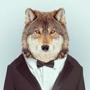 Wolfuo's avatar