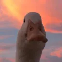filodreamz
