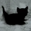 .carticat