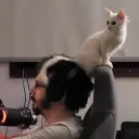tiodatte