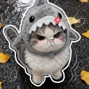 cateruwu