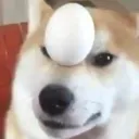 aluereon