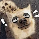 ko.ko_