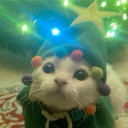 avatar J̷e̷s̷s̷n̷i̷n̷a̷