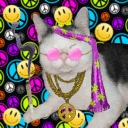 dancinghippy