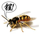 yellowjacket47