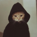 avatar Franqz❟❛❟