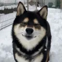 spacepups
