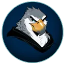 birdface3681