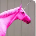 evilroda