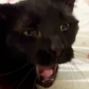 yeeb0ss7
