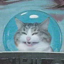 da_667