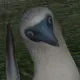 frostbittenseeker