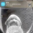 imreticqal